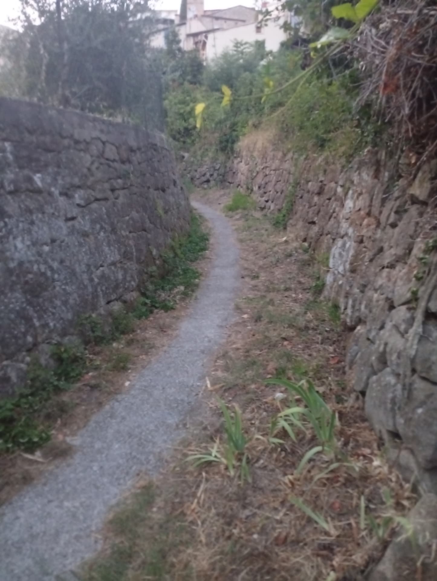 Petit chemin en pierre montant vers le village de Coaraze