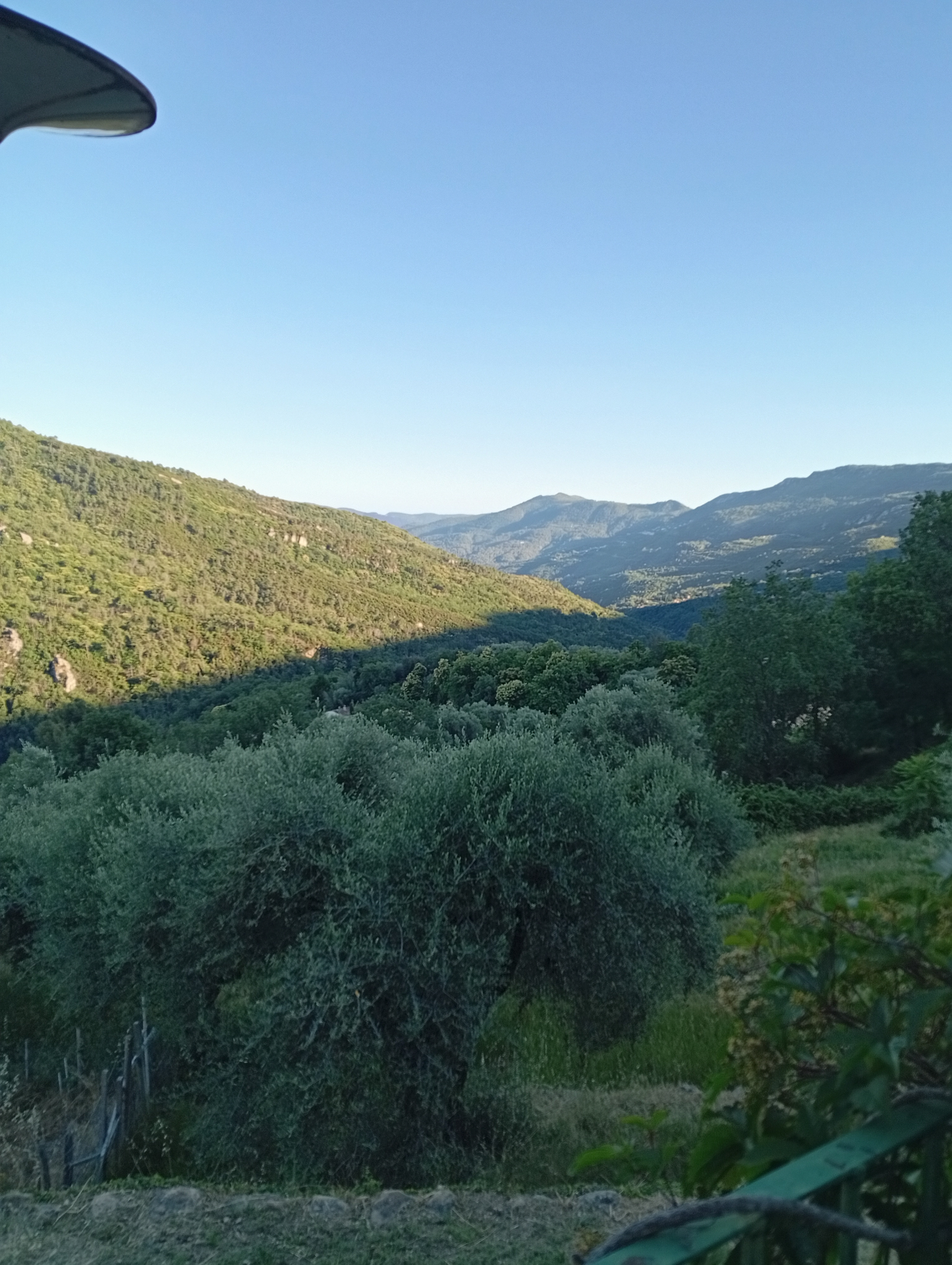 Vue sur les collines et l'oliveraie depuis la terrasse