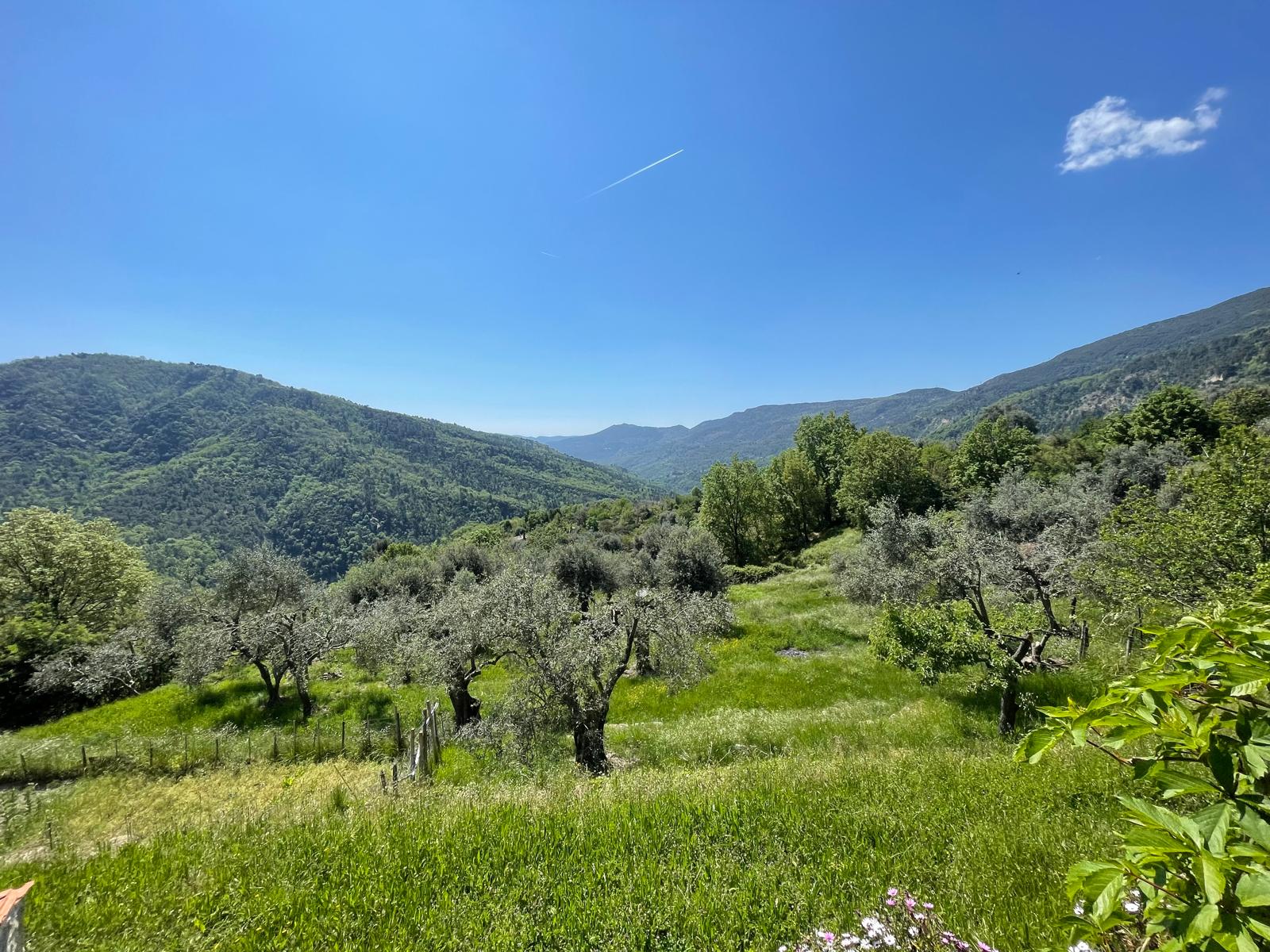 Vue sur la colline depuis la bergerie