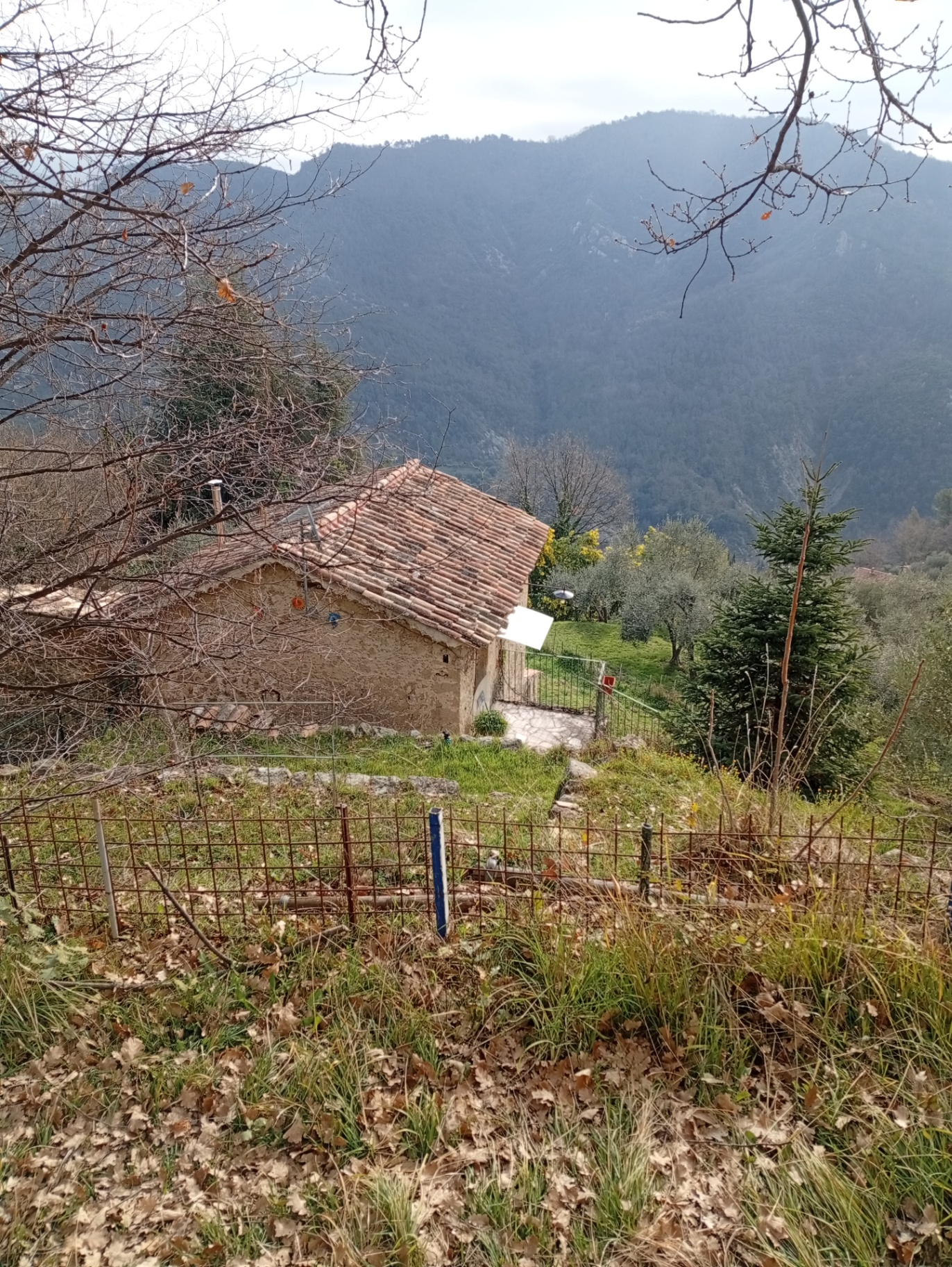 Vue sur la bergerie et les montagnes environnantes